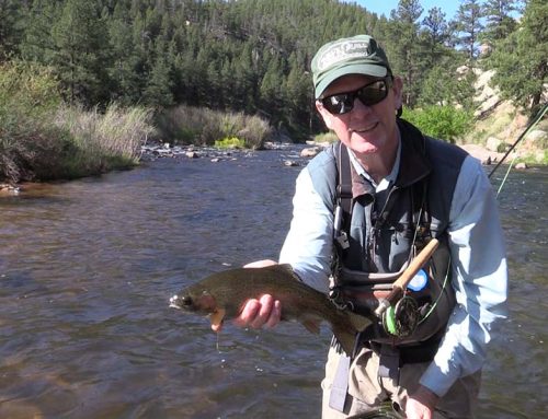 Improving the Gill Trail in Cheesman Canyon