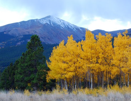 Silverheels Planning